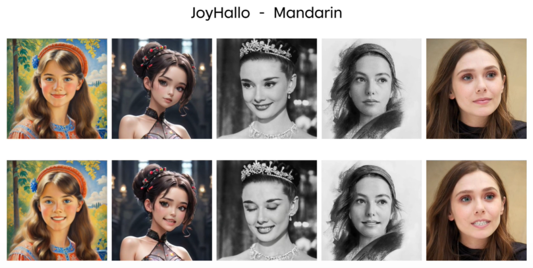 JoyHallo插图