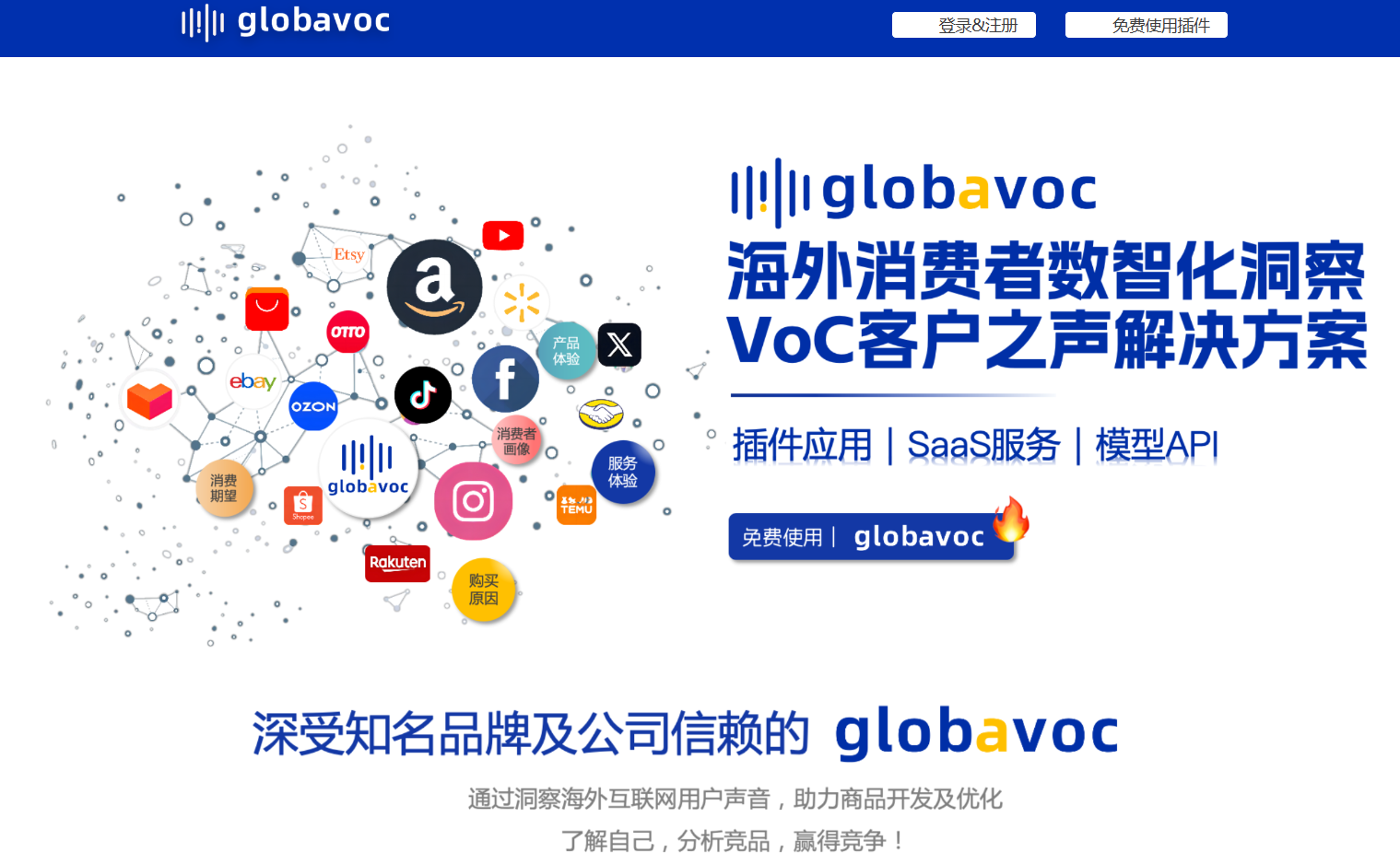Globavoc海外消费者洞察插图