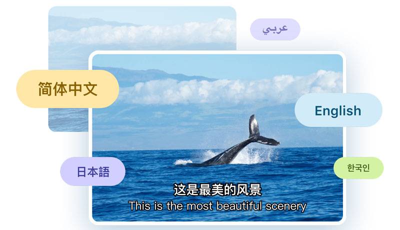 快转字幕插图