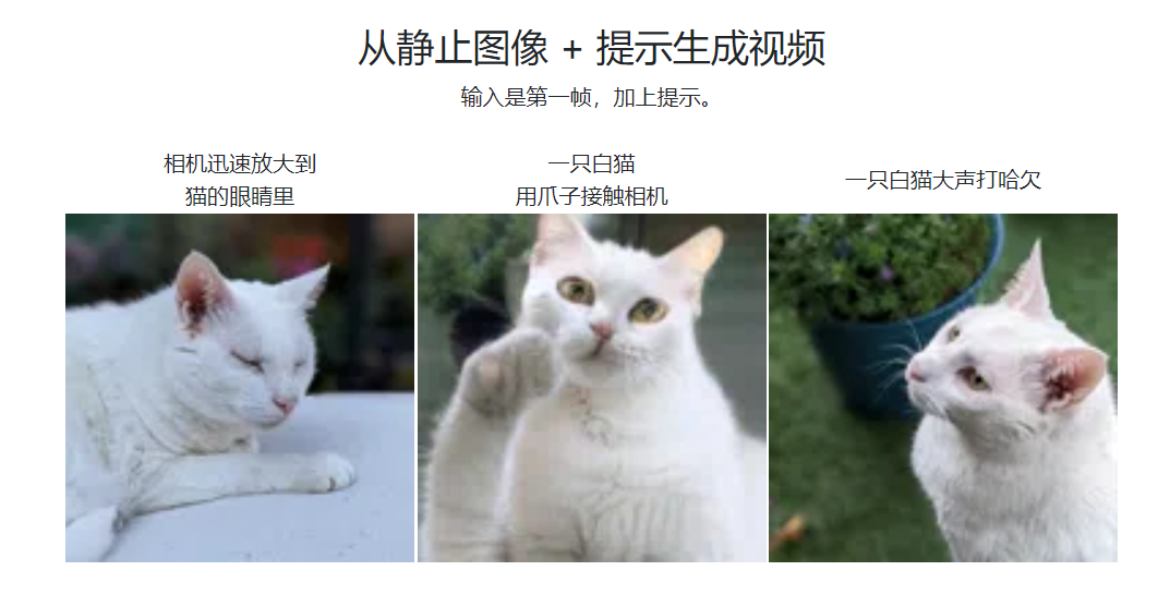 phenaki插图