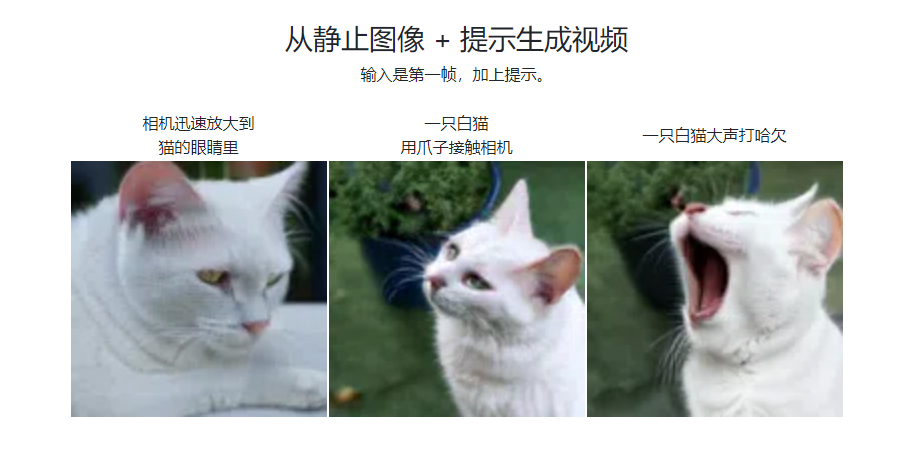 Phenaki插图